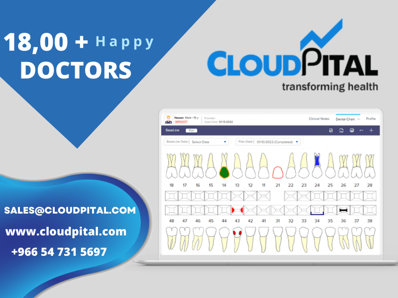 How is patient data stored within the Dental Software in Saudi Arabia?